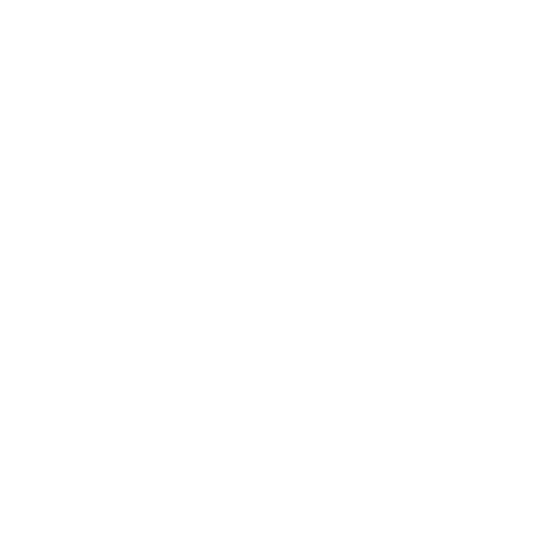 ERP Advisory icon